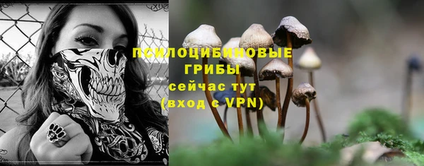 прущая мука Нягань