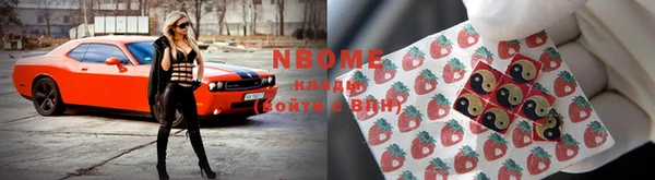 гидропоника Новозыбков